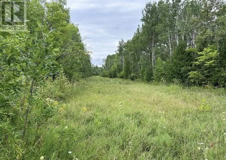Vacant Land at Lot 31 Cardwell Street, Manitowaning, Manitoulin Island