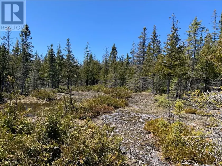 Vacant Land at PT LT 14 CON 12, Tehkummah