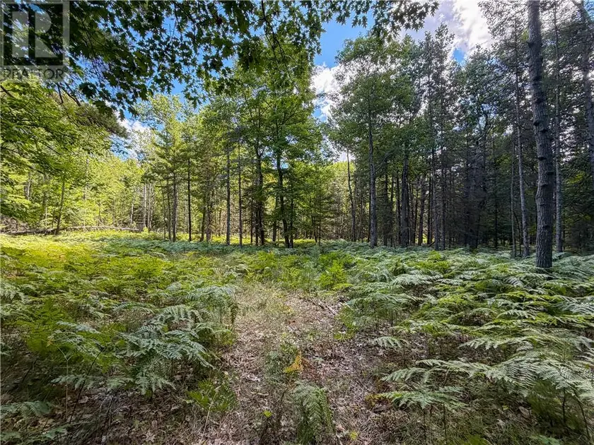 Vacant Land at N/A McArthur Trail, Gore Bay, Manitoulin Island