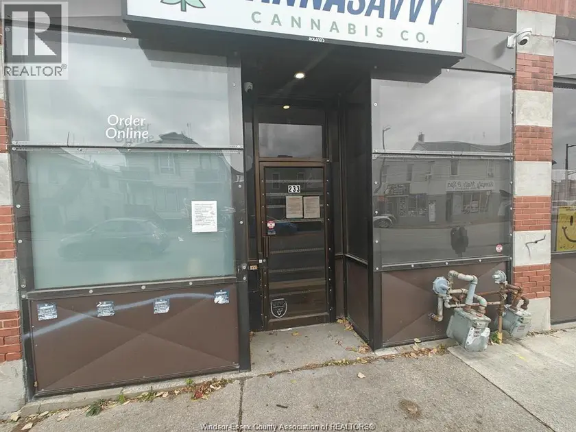 Other at 233 WYANDOTTE STREET East, Windsor