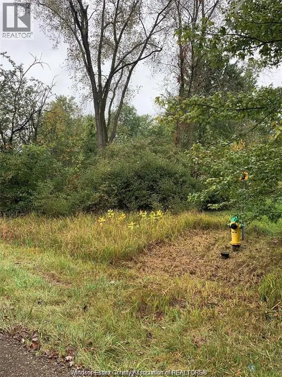 Vacant Land at V/L BRUSH SIDE ROAD, Essex
