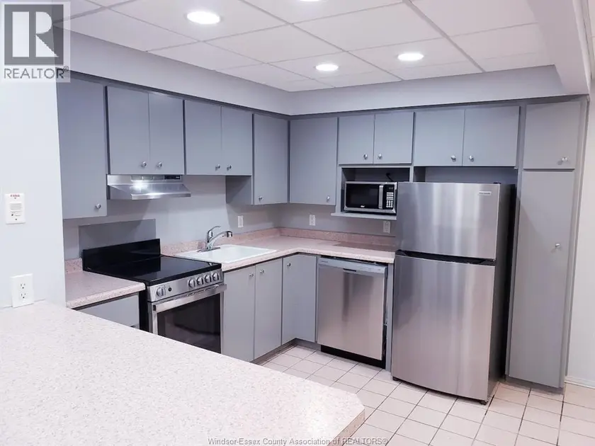 Multiplex at 522 PIT STREET Unit# UNIT 4, Windsor