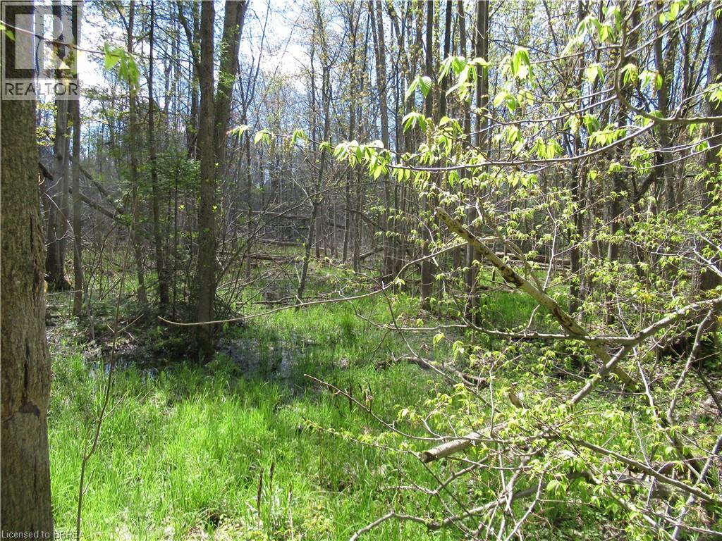 Vacant Land at 0 REGIONAL ROAD 97, Hamilton
