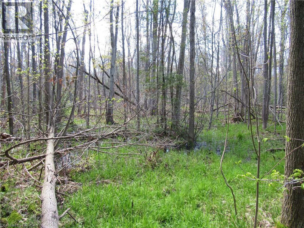 Vacant Land at 0 REGIONAL ROAD 97, Hamilton