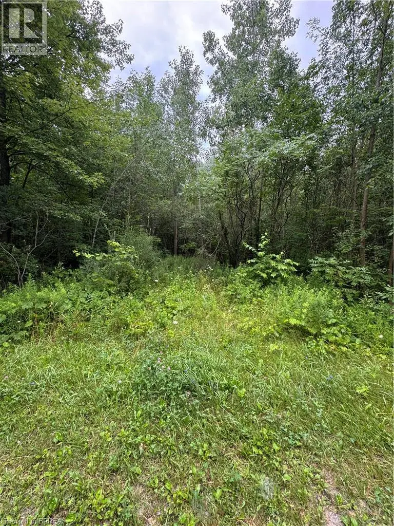 Vacant Land at NA CONCESSION 6 TOWNSEND, Waterford