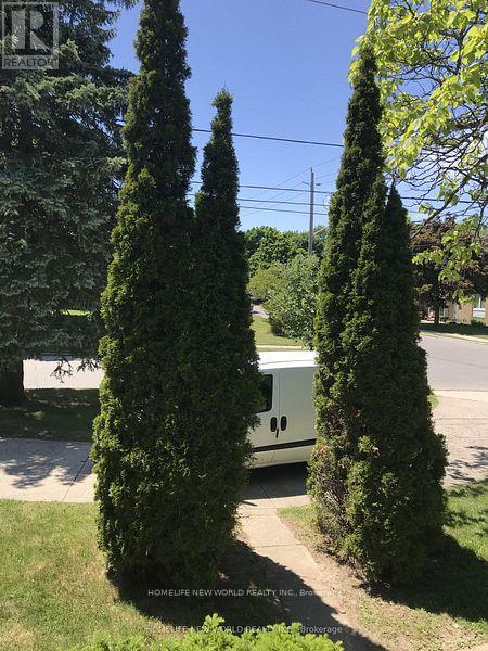 Detached at 203 GODDARD STREET, Toronto (Bathurst Manor)