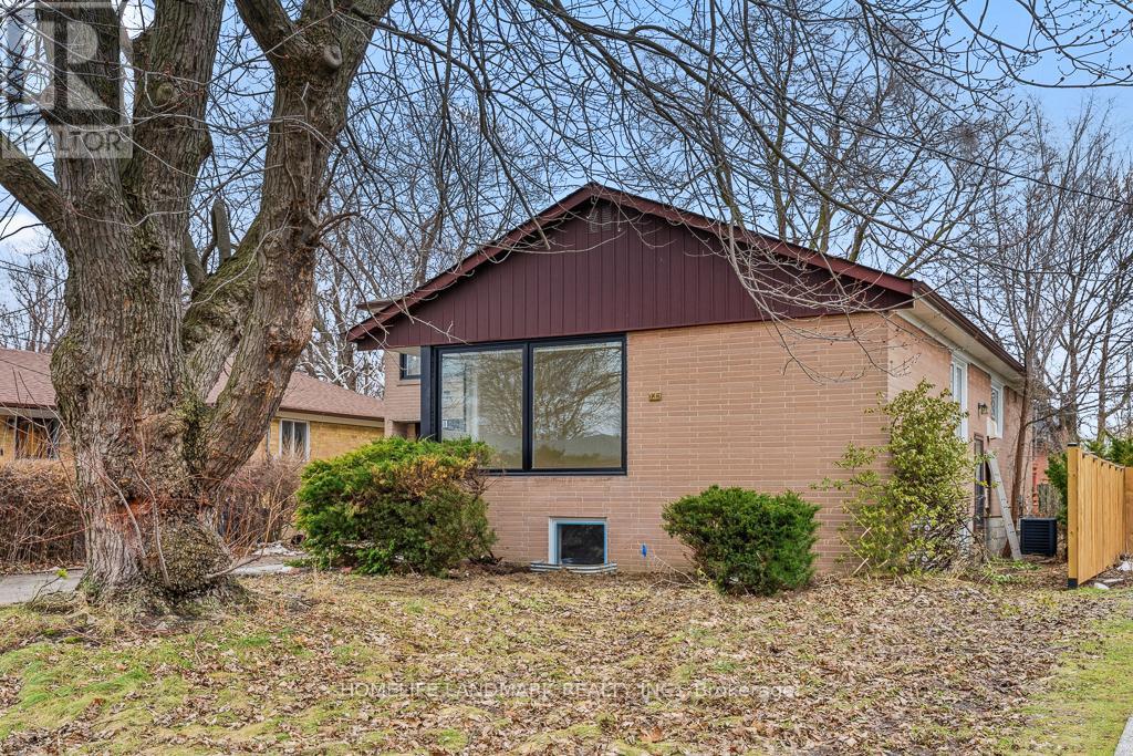 Detached at BASEMENT - 135 WATERLOO AVENUE, Toronto (Bathurst Manor)