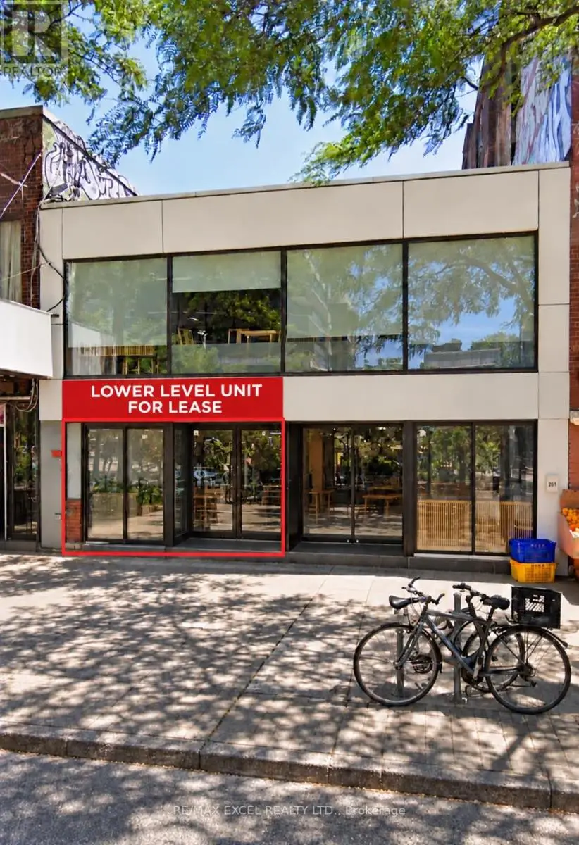 Other at LOWER LEVEL - 261 SPADINA AVENUE, Toronto