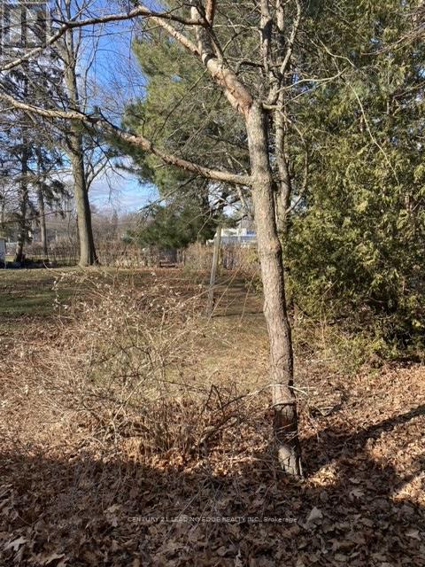 Vacant Land at 60 PINE RIDGE DRIVE, Toronto