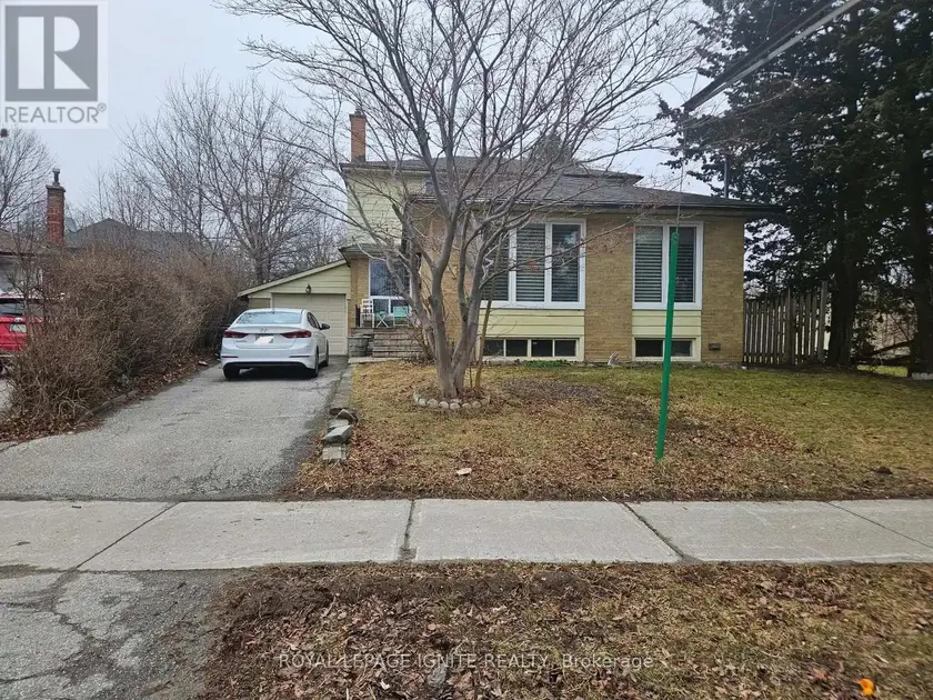 Detached at BSMNT - 31 BENFRISCO CRESCENT, Toronto