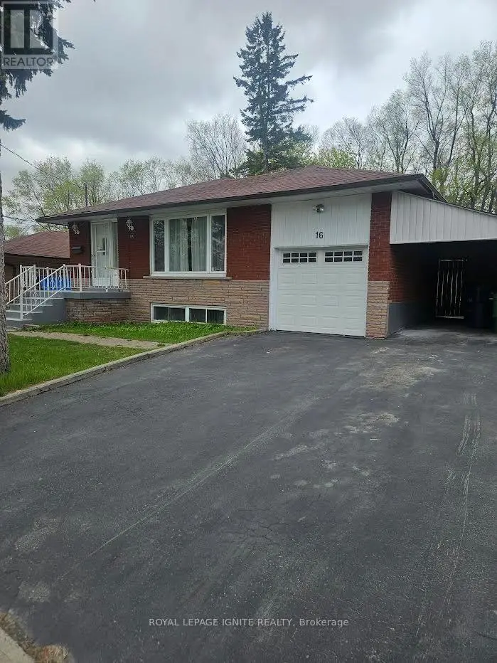 Detached at MAIN - 16 CICERELLA CRESCENT, Toronto