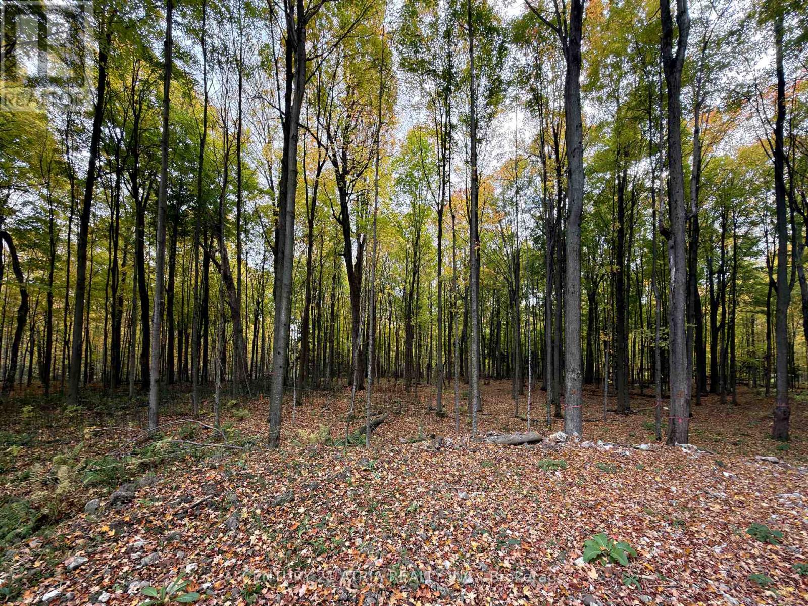 Vacant Land at 3303 DAVIS DRIVE, Whitchurch-Stouffville
