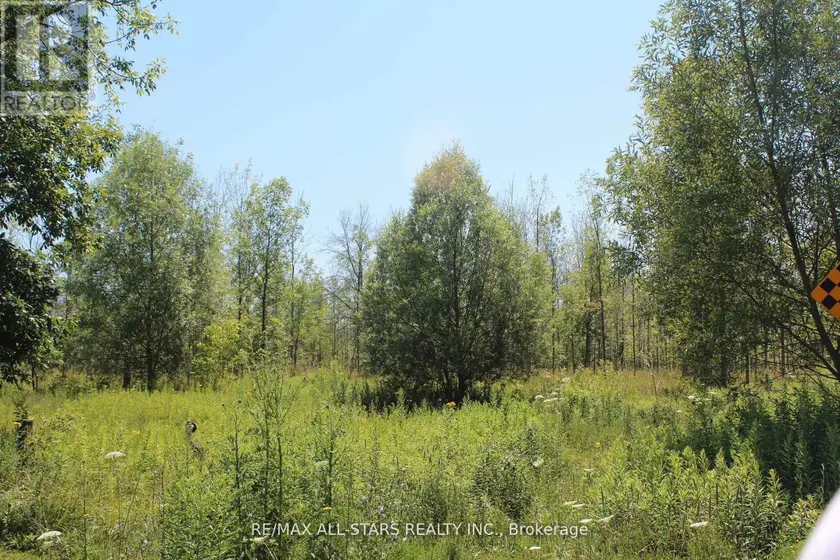 Vacant Land at 0 METRO ROAD, Georgina