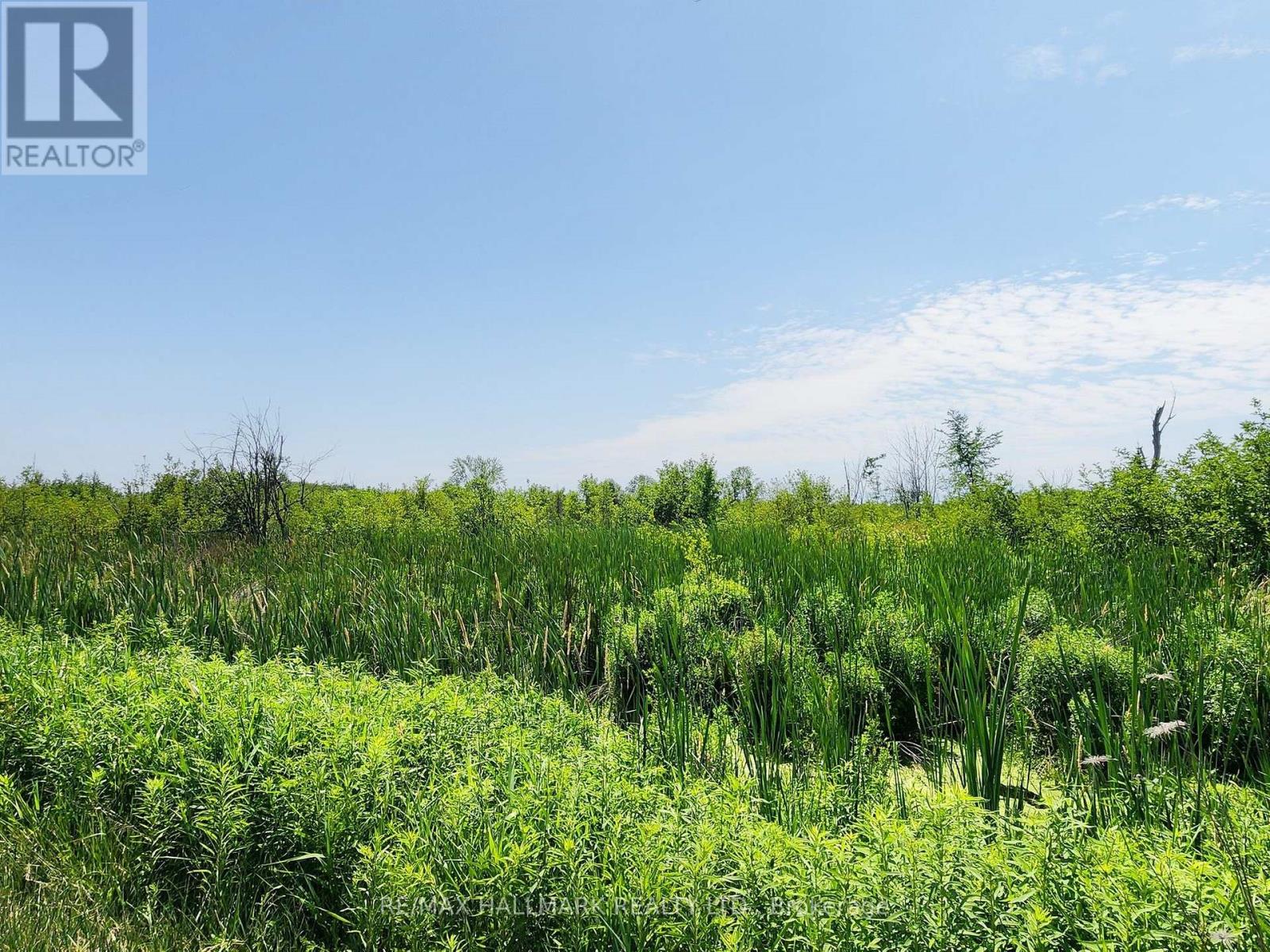 Vacant Land at 20200 HIGHWAY 48, East Gwillimbury