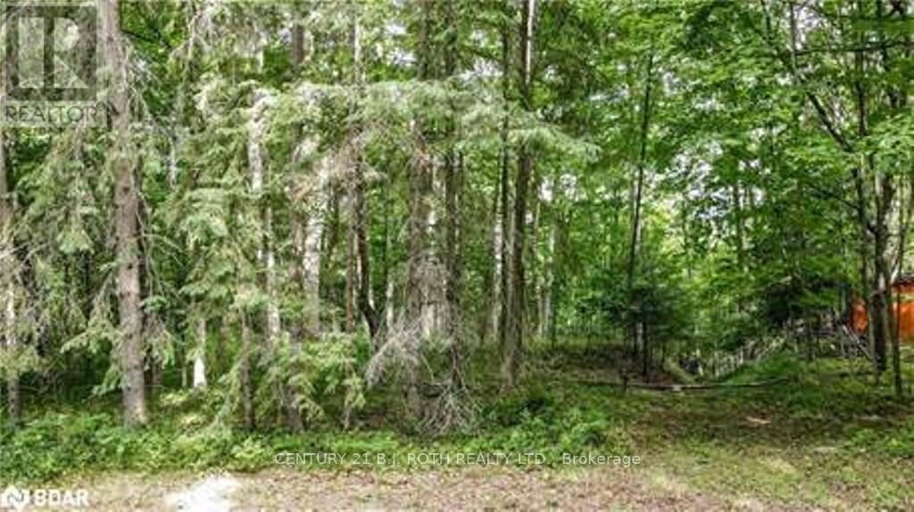 Vacant Land at 7 FERN LANE, Essa
