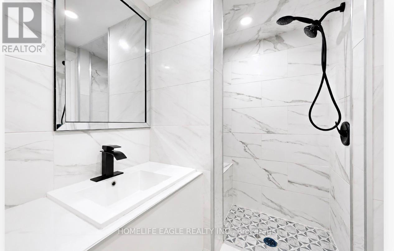Detached at BASEMENT - 254 ANDREW STREET, Newmarket