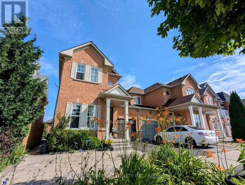 Detached at BSMT - 236 OLD COLONY ROAD, Richmond Hill