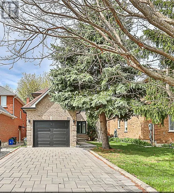 Detached at BASEMENT - 11 NEWMILL CRESCENT, Richmond Hill (Devonsleigh)