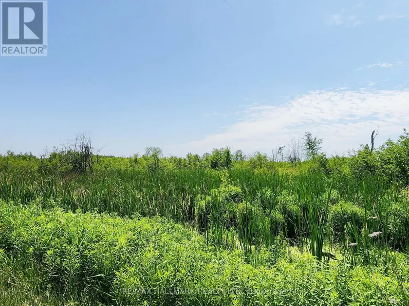 Vacant Land at 20200 HIGHWAY 48, East Gwillimbury