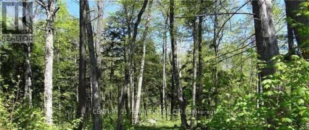 Vacant Land at 126 NIPPISSING RIDGE ROAD, Tiny