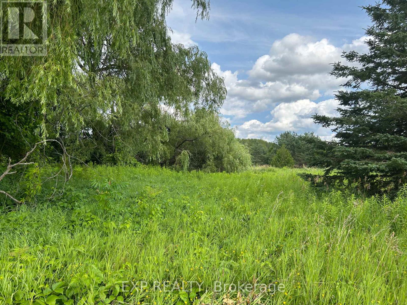 Vacant Land at 1125 WOOD ROAD, Tay