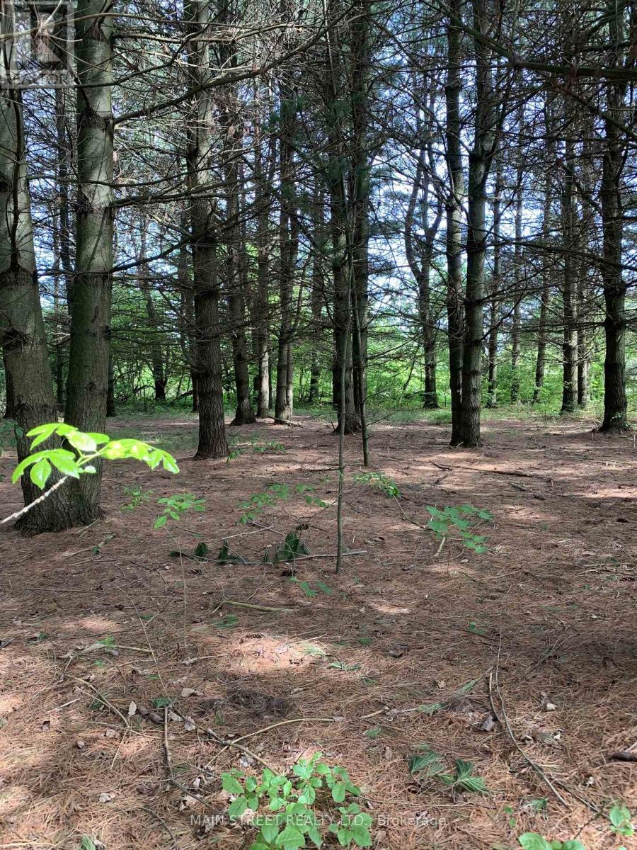 Vacant Land at 1451 CANAL ROAD, Ramara