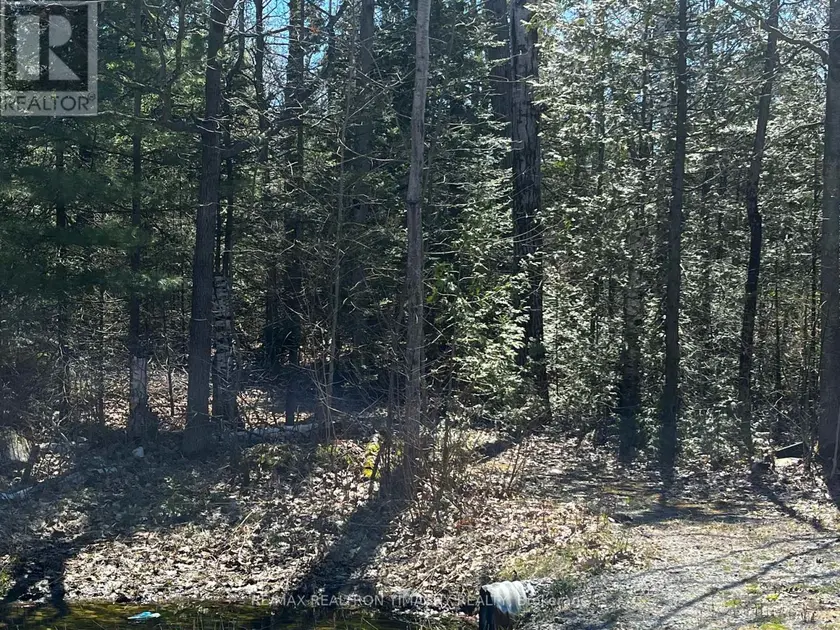 Vacant Land at LOT 7 CHAMPLAIN ROAD, Tiny