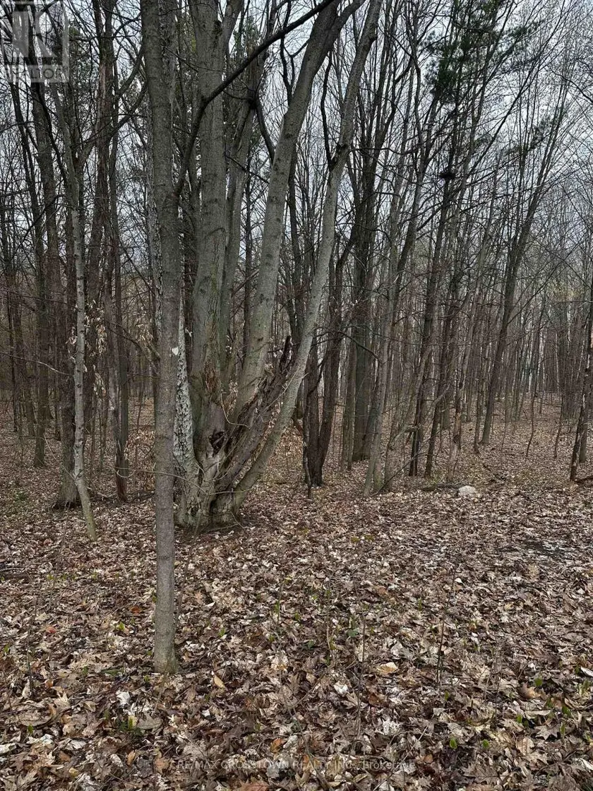 Vacant Land at 224 CHURCH STREET, Penetanguishene