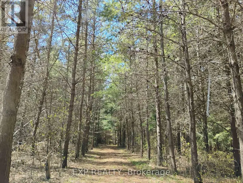Vacant Land at 2825 PERRY AVENUE, Ramara