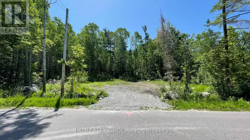 Vacant Land at LT101 SILVER BIRCH DRIVE, Tiny