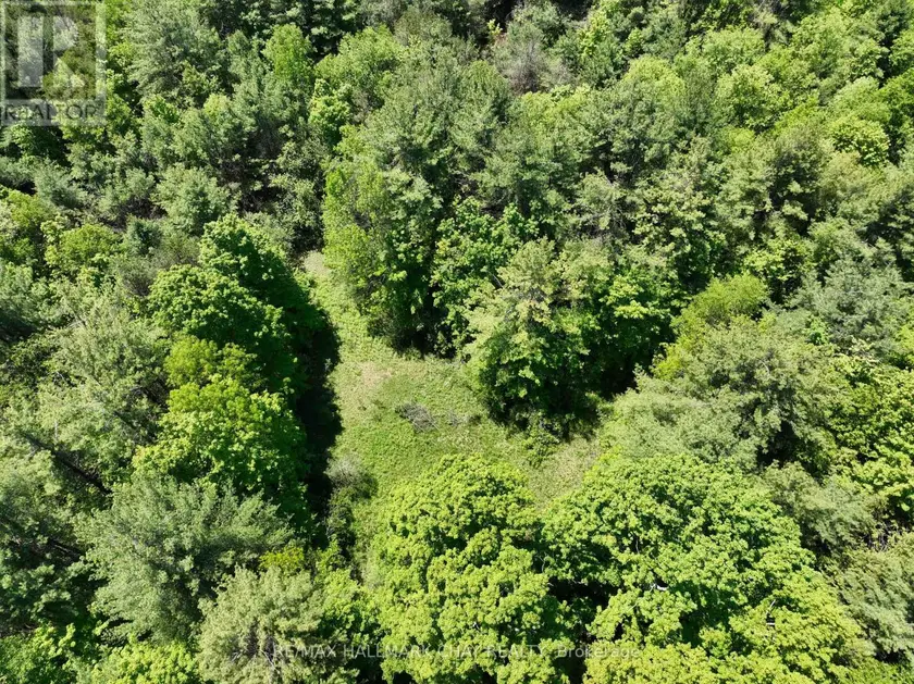 Vacant Land at 1676 OLD SECOND ROAD S, Springwater