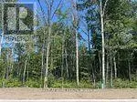 Vacant Land at LOT 77 MAPLESIDE DRIVE, Wasaga Beach