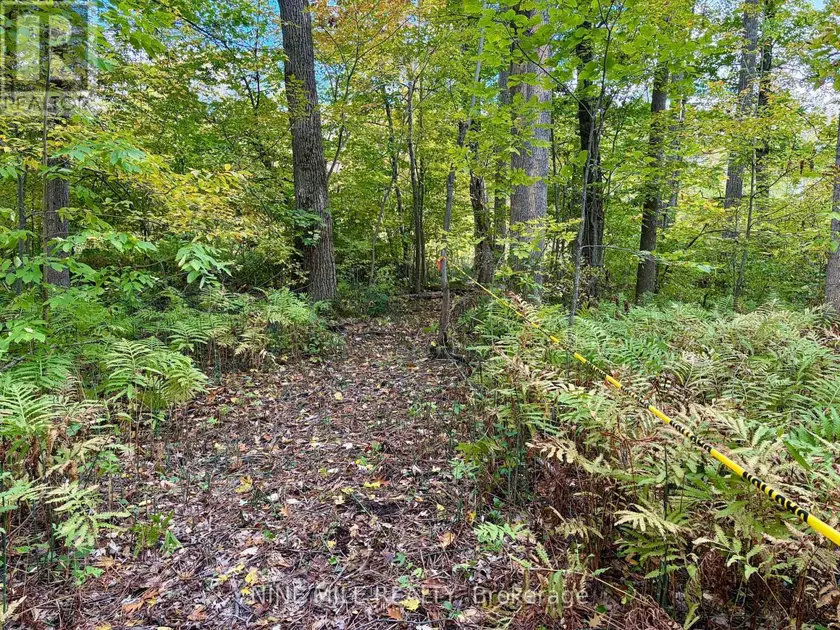 Vacant Land at 3159 SWITCH ROAD, Ramara