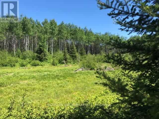 Vacant Land at 38.24 ACRES IN OGDEN TOWNSHIP - PCL 24640, Timmins (TM - Outside West)