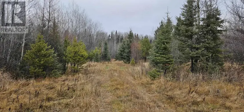 Vacant Land at Pin #420950063 HWY 17, Melgund