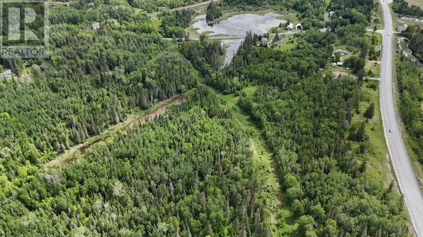 Vacant Land at 2 HWY 641, PELLATT
