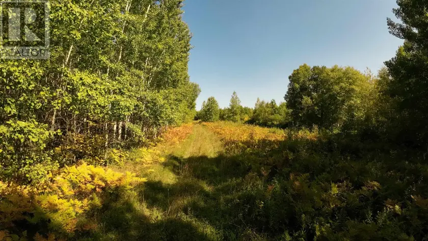 Vacant Land at PCL 46-3 GOVERNMENT RD, RAINY RIVER