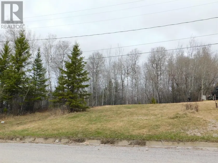 Vacant Land at 113 Third ST, Dryden