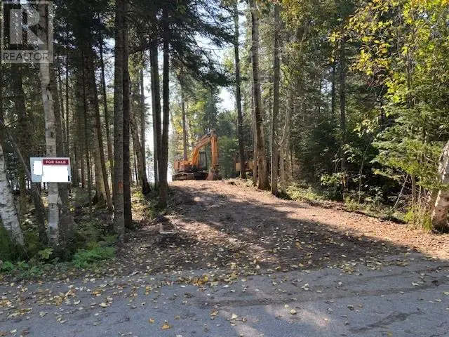 Vacant Land at 2413 SCOTT DR, MCGREGOR SHUNIAH