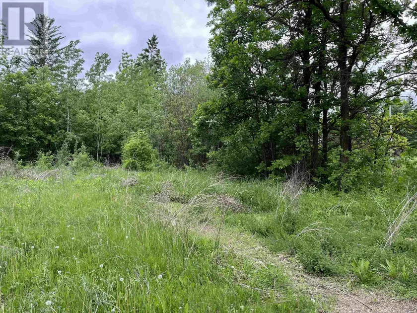 Vacant Land at PIN 560490007 HWY 11, Pinewood