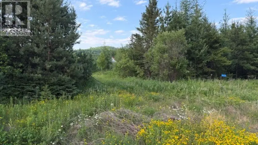 Vacant Land at 6525 Hwy 61, Crooks/Neebing