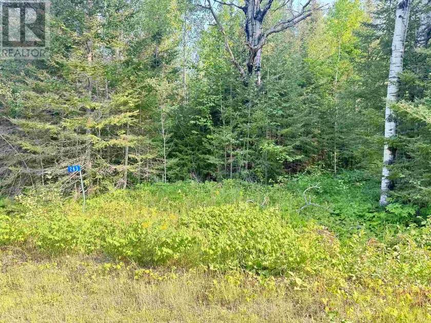 Vacant Land at 263 CLOUD RIVER RD E, NEEBING