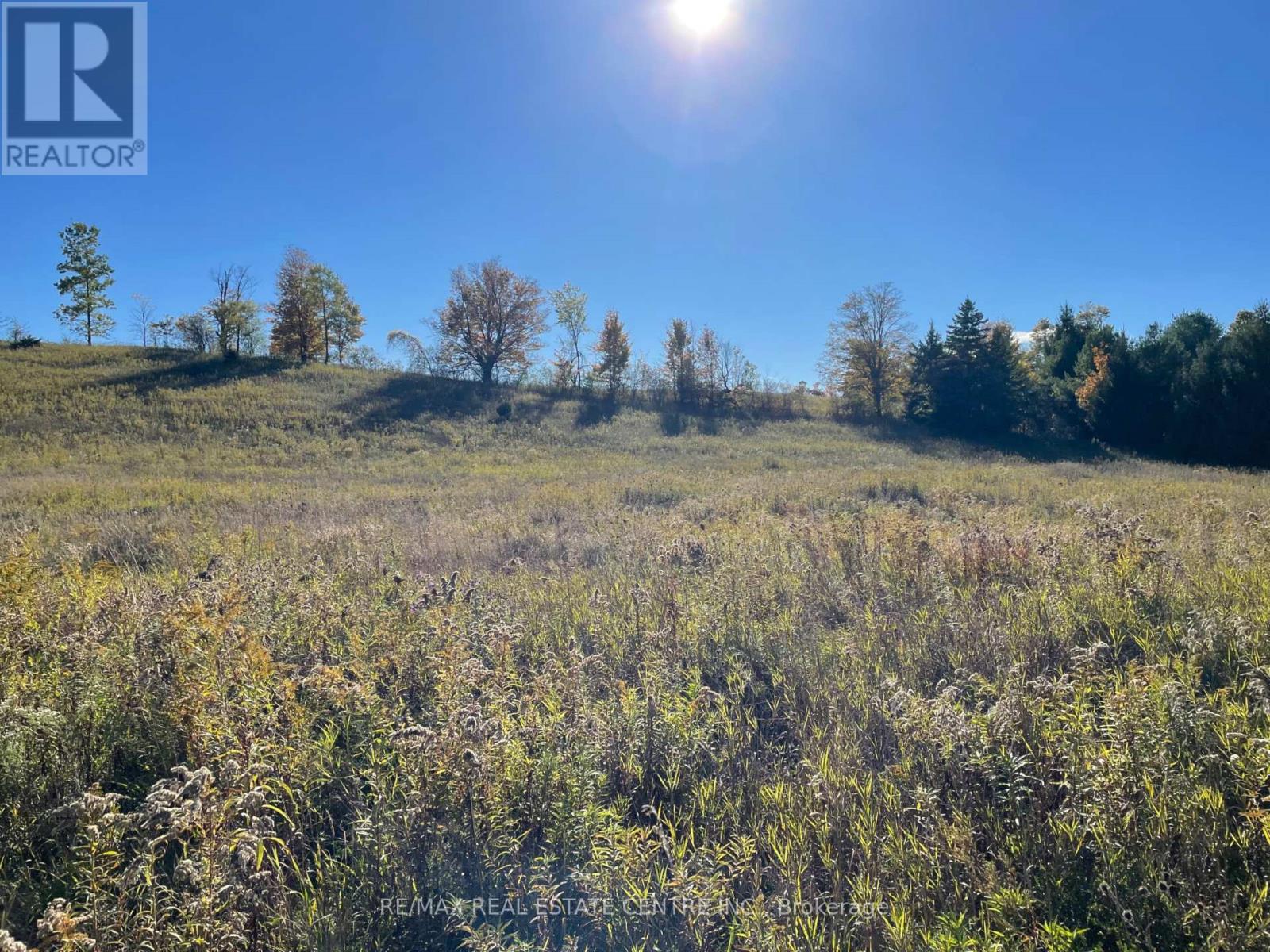 Other at 13062 NASSAGAWEYA ESQUESI TOWNLINE, Milton (NA Rural Nassagaweya)