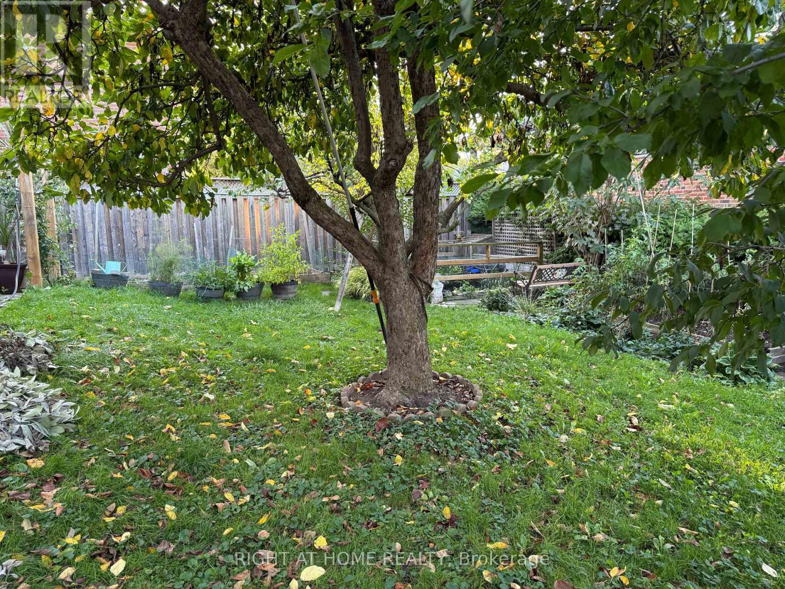 Detached at 258 LA ROSE AVENUE, Toronto