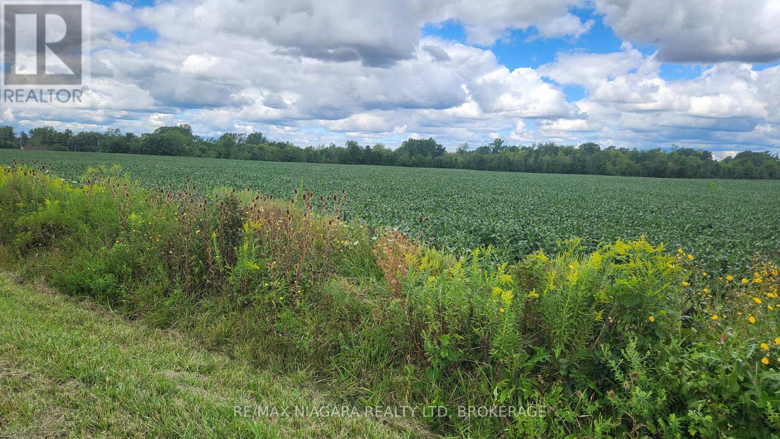 Vacant Land at 2651 WESSEL DRIVE, Pelham (Fenwick)