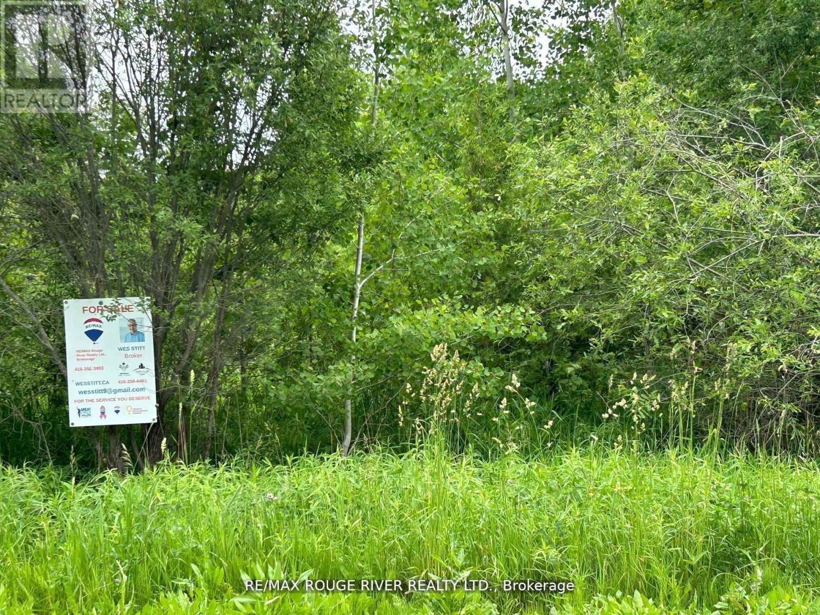 Vacant Land at CON 8 PTLOT7RDPL74PT44-49, Trent Hills