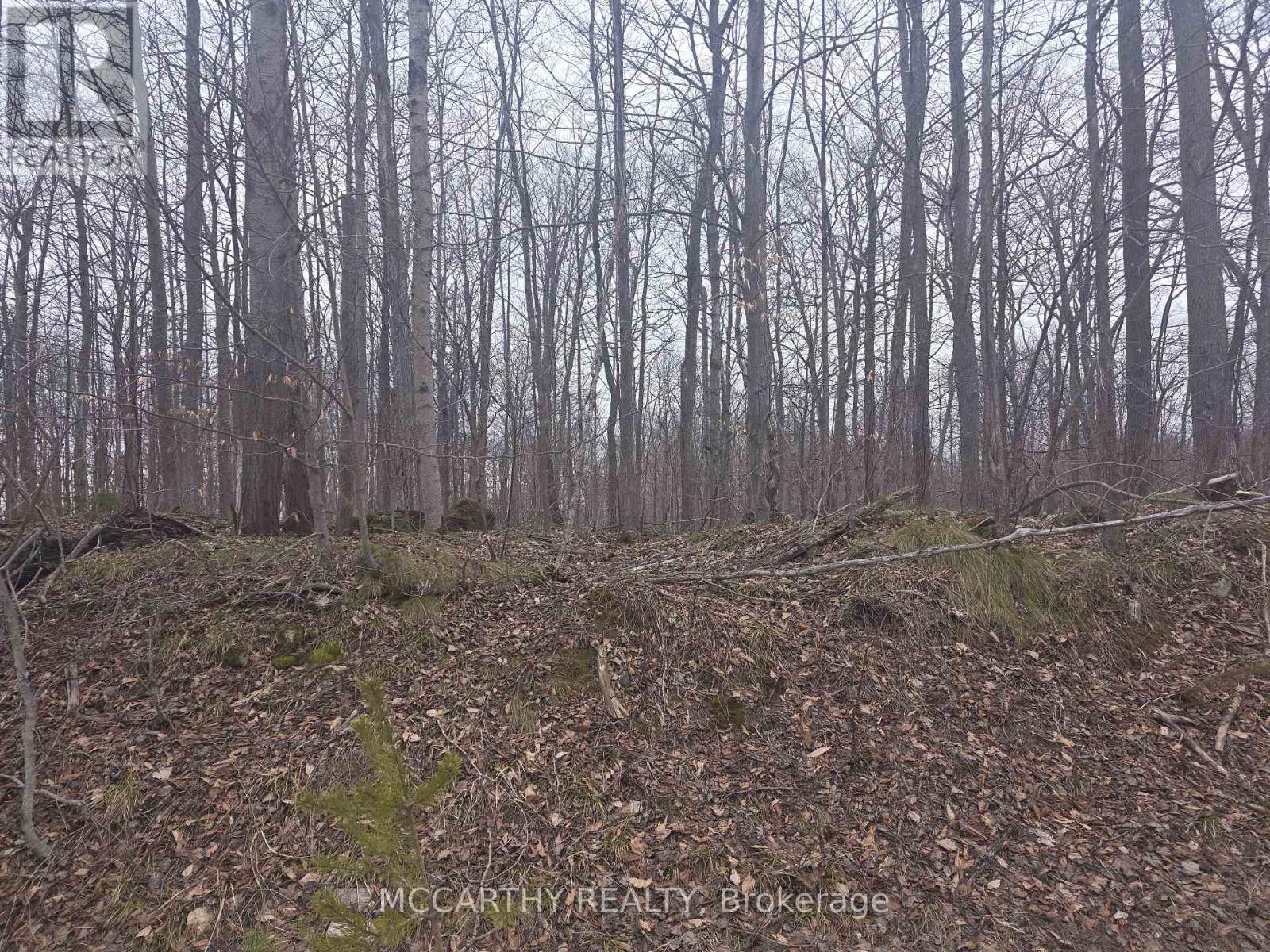 Vacant Land at LOT 9 PT LT 25, West Grey