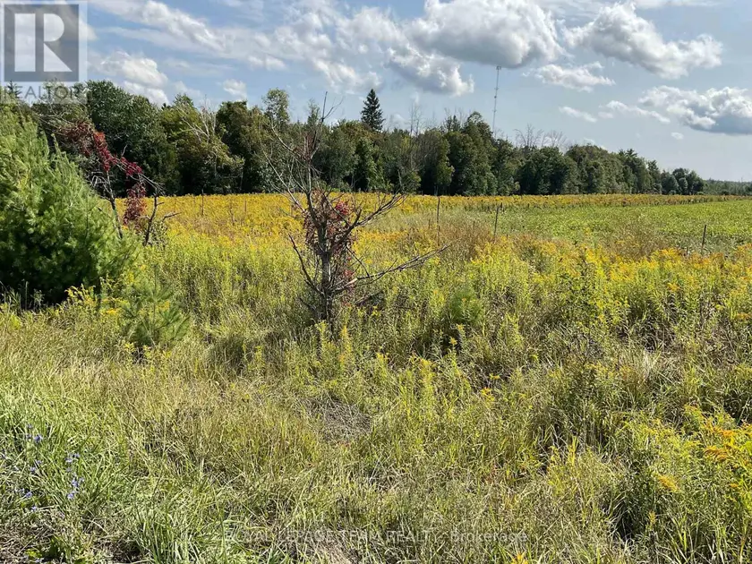 Vacant Land at 1211 BELLAMY ROAD, Mississippi Mills
