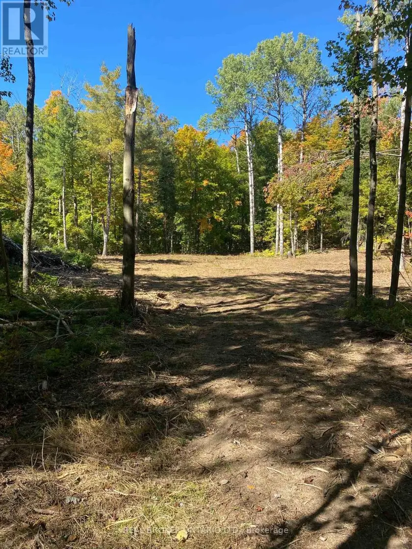 Vacant Land at 1248 BEIERS ROAD, Gravenhurst