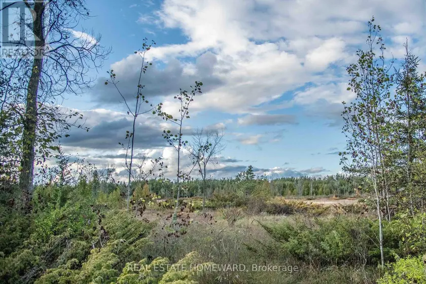 Vacant Land at LOT 254 MCGUIRE BEACH ROAD, Kawartha Lakes